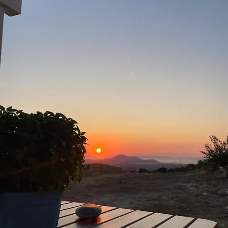 Vagianou Thea Celeste Vivlos