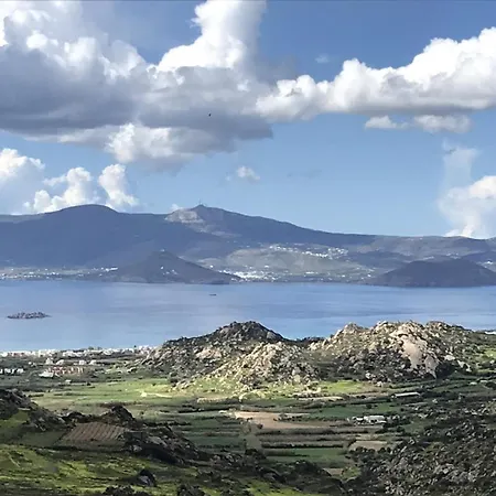 Vagianou Thea Celeste * Vívlos