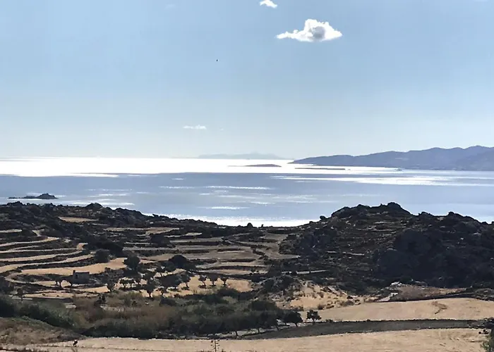 Vagianou Thea Celeste *